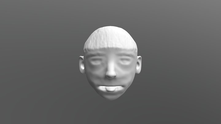 Make head 1st try 3D Model