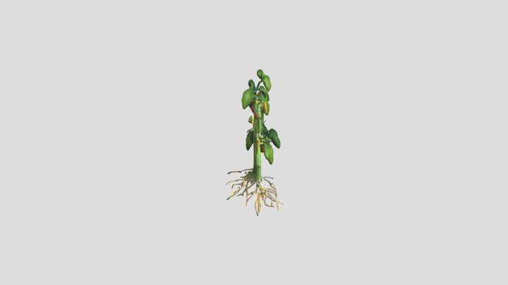 tripo_pbr_model_70098619-8c90-4c25-844b-795ca0c1 3D Model