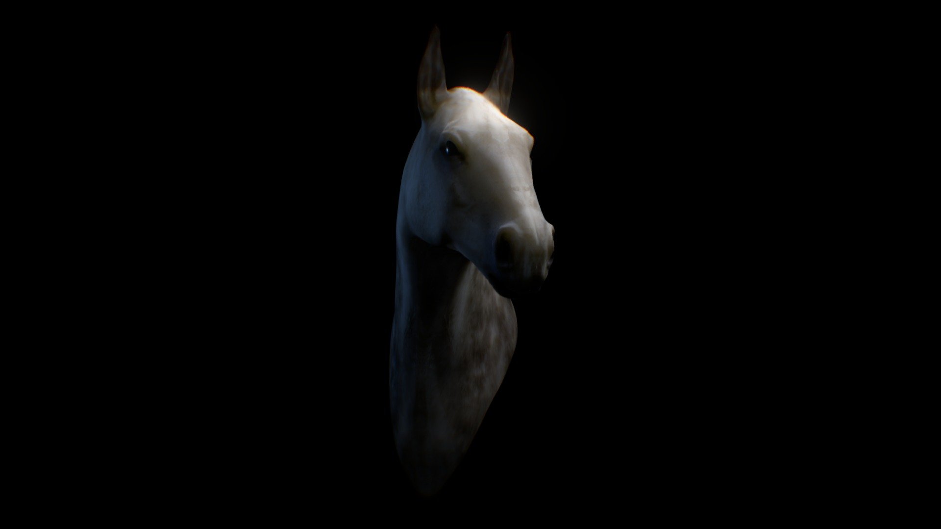 Horse Bust — Sketchfab embed 3D viewer