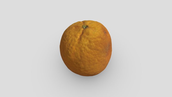 Orange Fruit