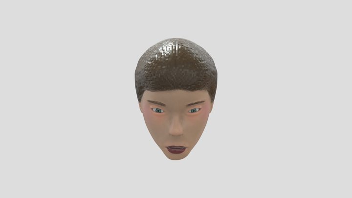 Womans Bust 3D Model