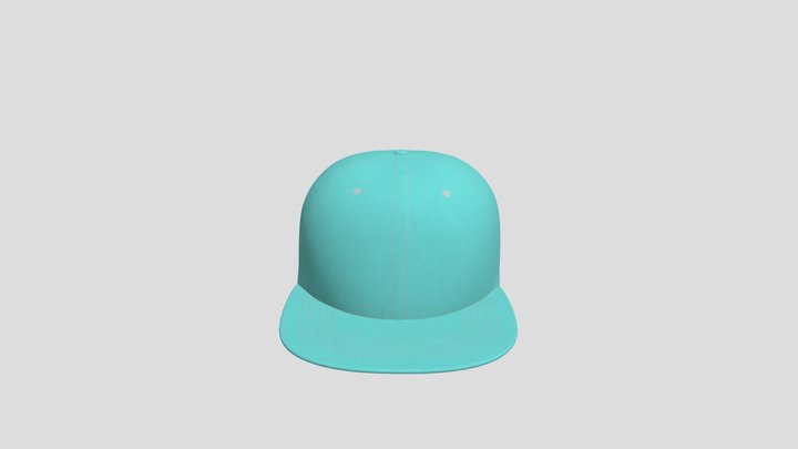 6 PANEL FLATVISOR SNAPBACK 3D Model