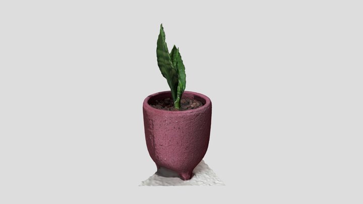 Poly 3D Model