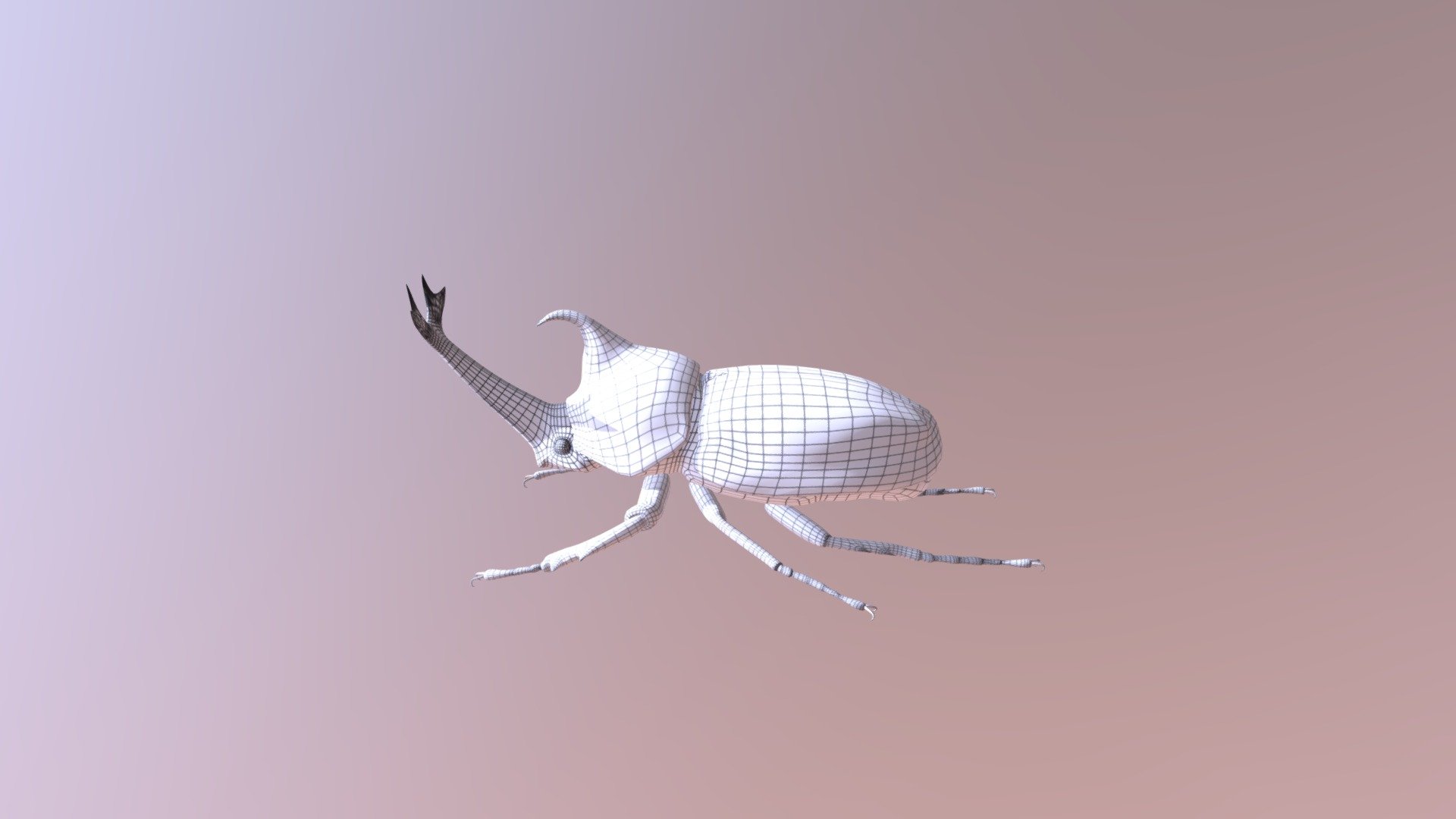 Allomyrina Dichotomus Web T17