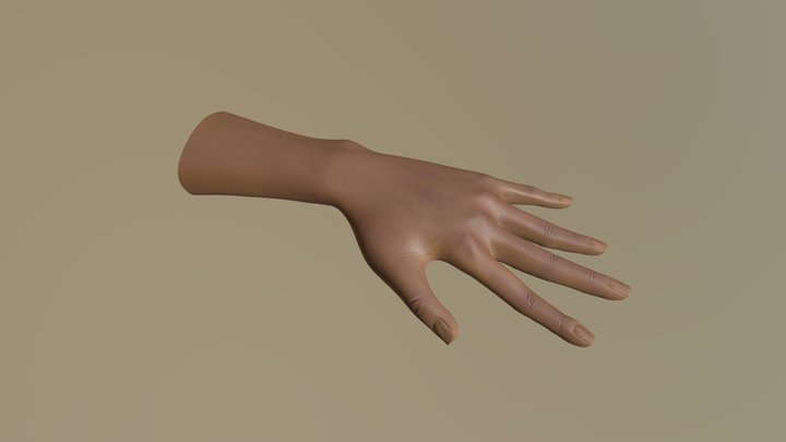 Female Hand 3D Model