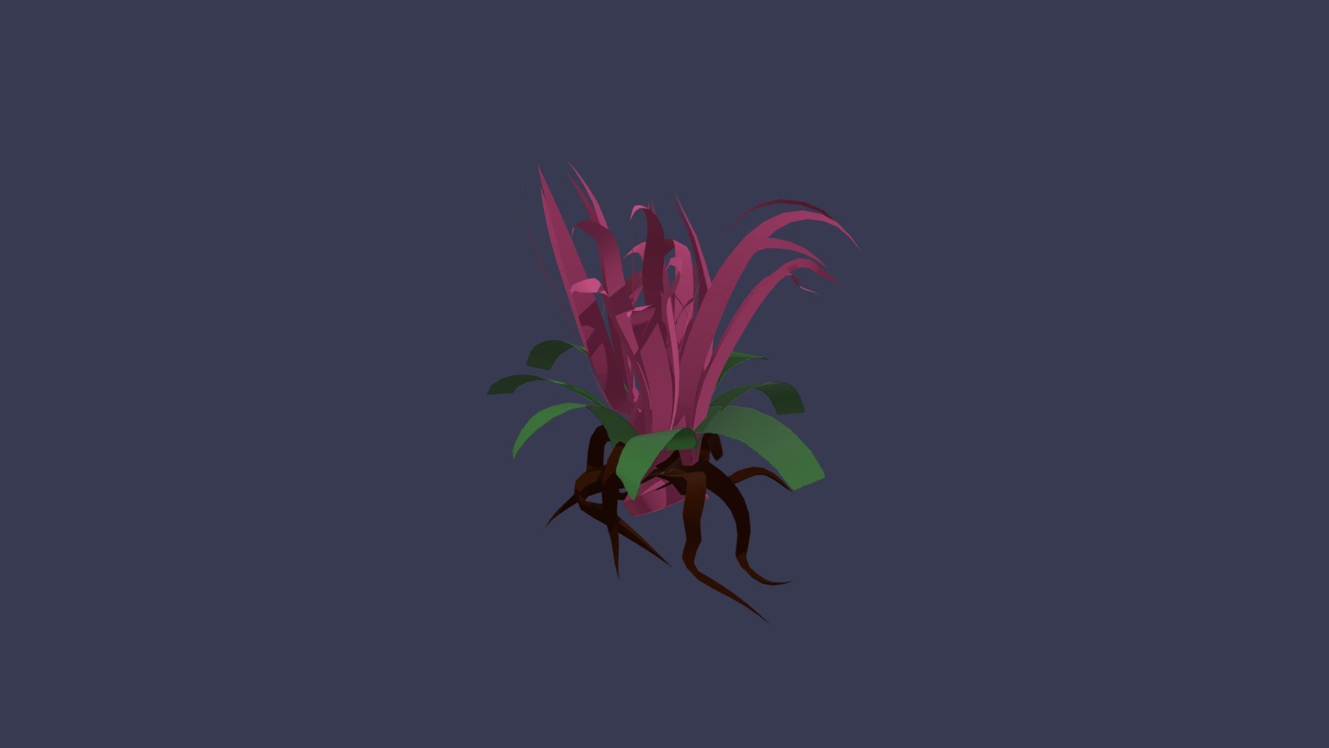 Plant