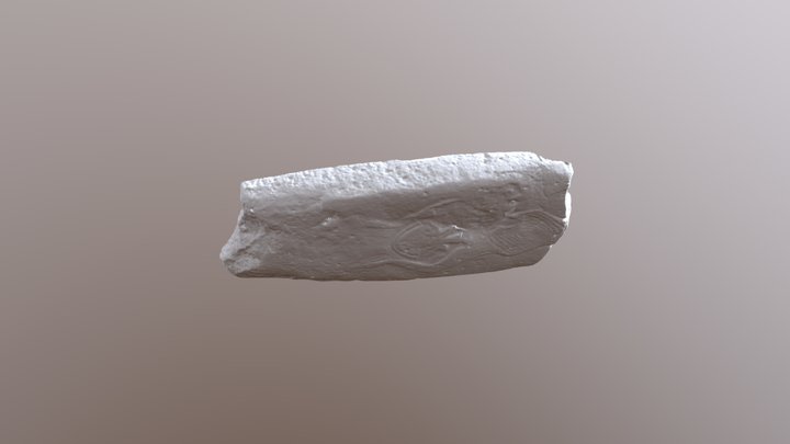 model 3D Model