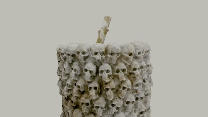 Skeletons 3D Model