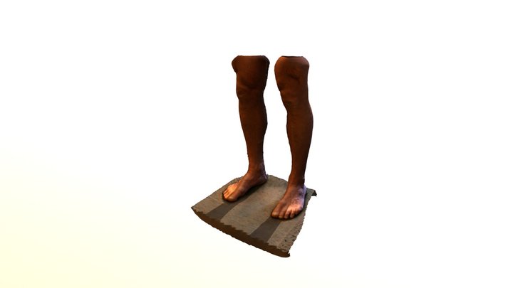 Anonymous ièps 3D Model