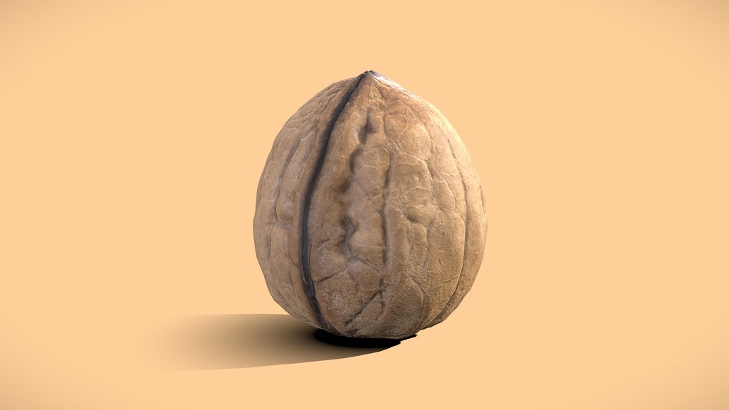 Low-Poly Walnut 3D Model | 3D Scan