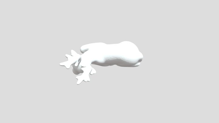Hirsch 2 3D Model