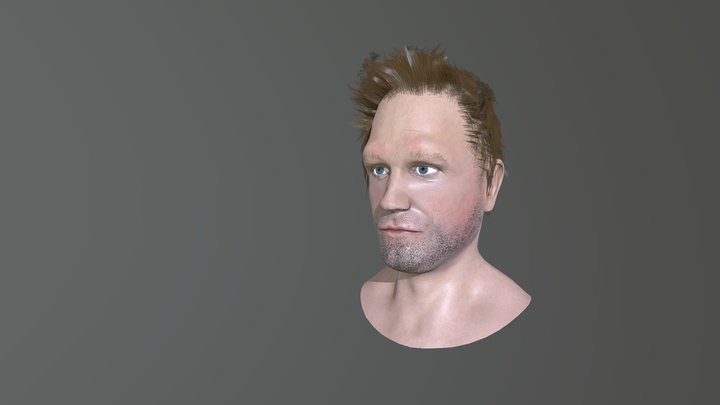 Bust Project 3D Model