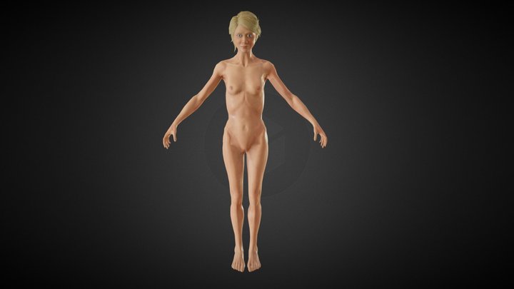 Female Anatomy Study Version 4 3D Model