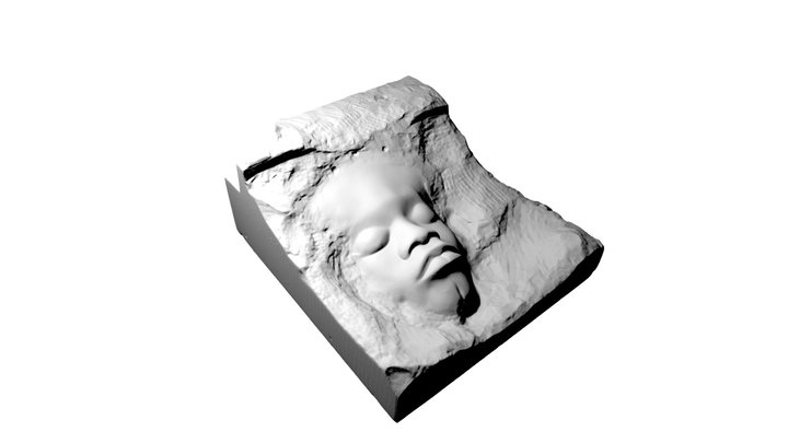 2 Black Face White Stone 3D Model