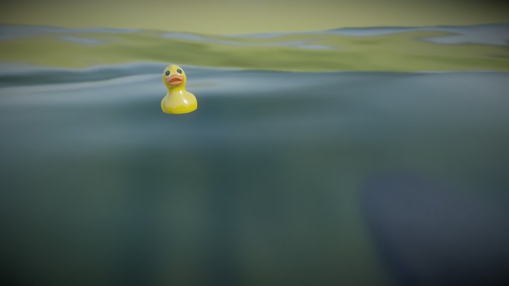 Duck Float Test 3D Model