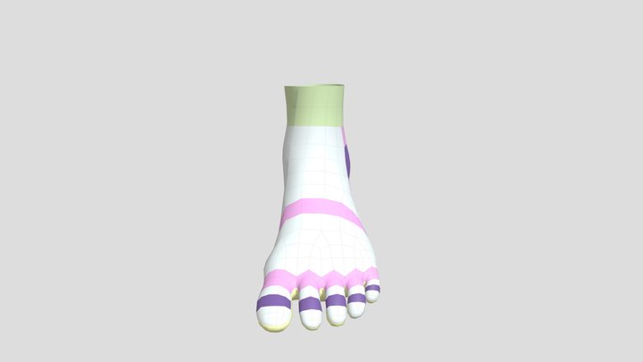 Foot Retopology 3D Model