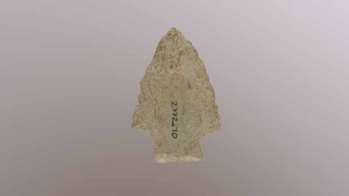 Chipped Stone Projectile Point 3D Model