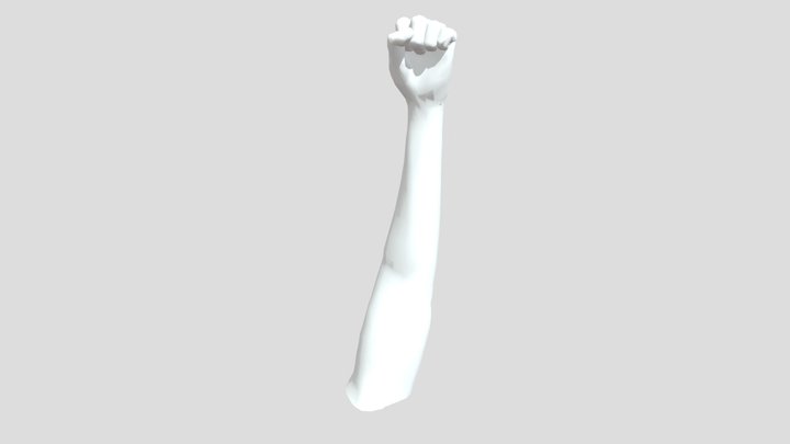 left arm and fist 3D Model