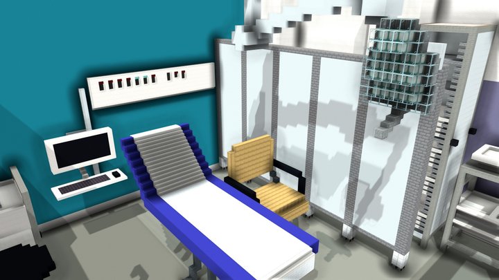 Prise en charge ambulatoire HUG dans Minecraft 3D Model