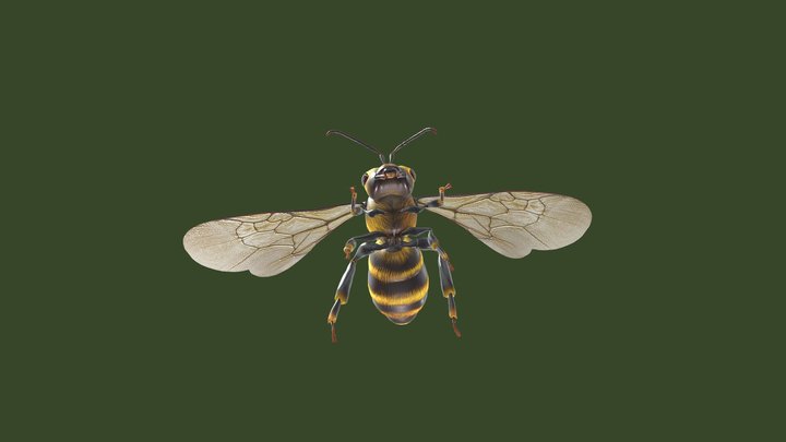 Animated Bee Flying Landing Loop – Modelo 3D gratuito STL