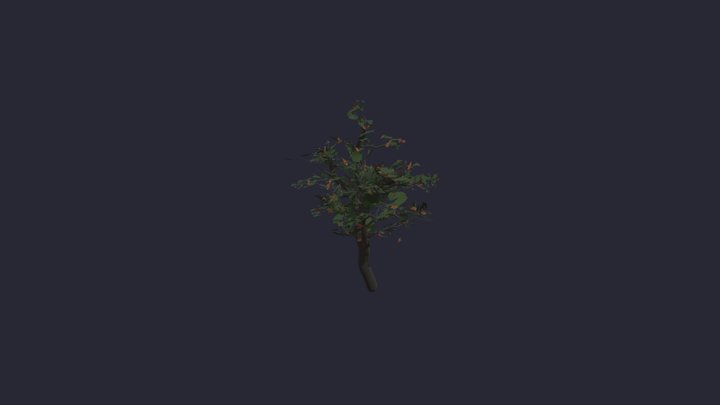 Untitled_ 3D Model