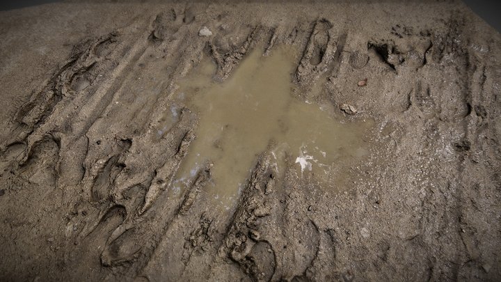 Mud puddle 3D Model
