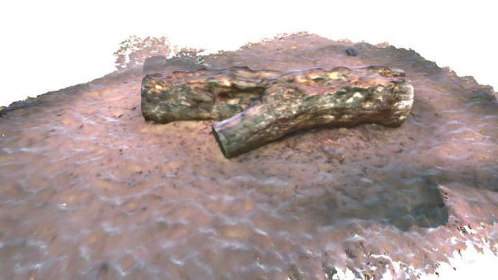 Baumstamm 3D Model