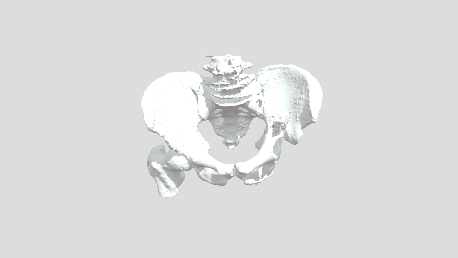 EPP - 3D model by bss0413 [a3a8083] - Sketchfab
