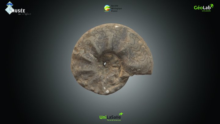 Céphalopode - Ceratites sp. – Kostenloses 3D-Modell STL