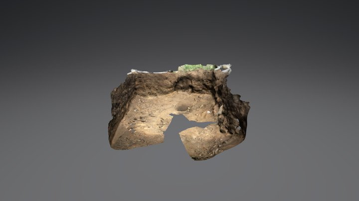 HP7 trench 3D Model