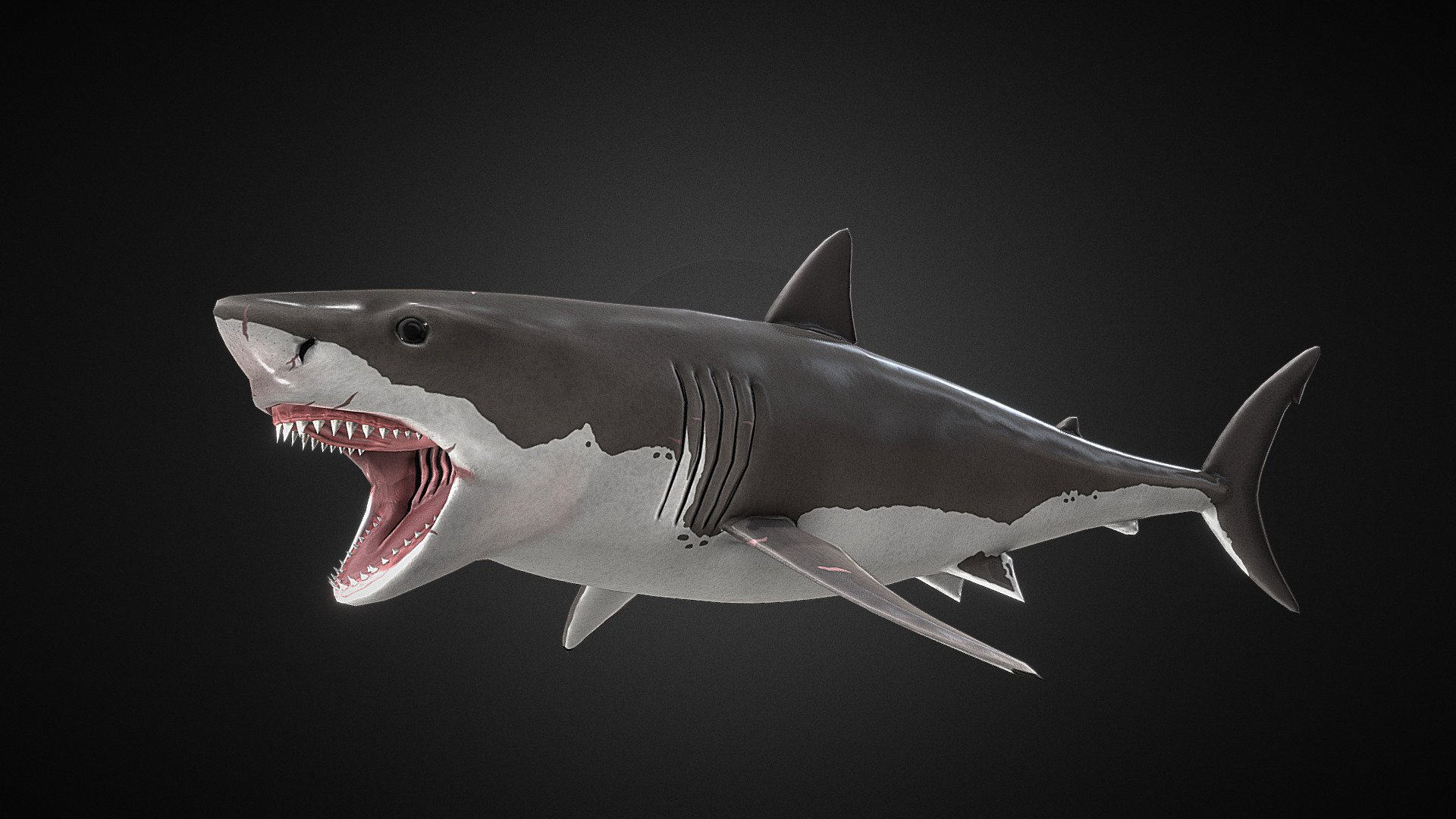 Three sharks. Акула 3д модель. Акула на 3d принтере. Shark 3d model.