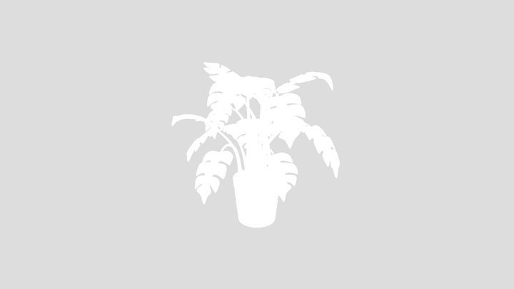 Stylized Monstera Houseplant