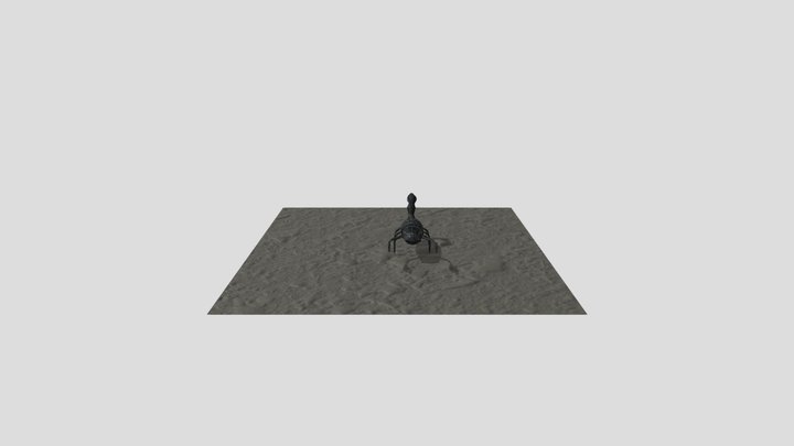 FINT 3D Model