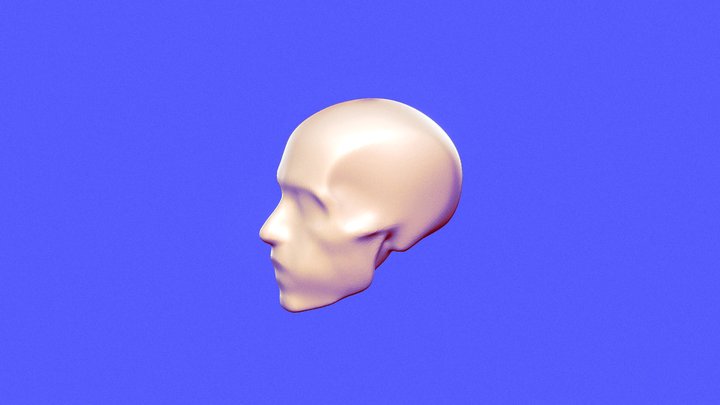 anatomy head 3d model (Simplified) 3D Model