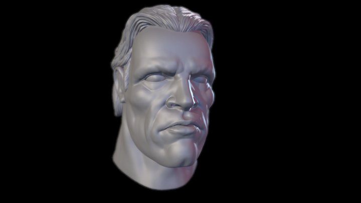 Head Test Sculpt 3D Model