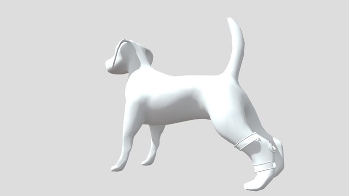 0516狗狗護膝 3D Model