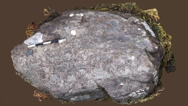 Learable Hill 3D Model