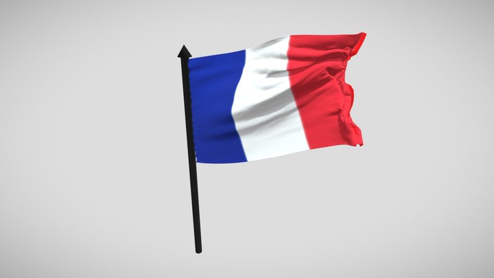 Flag 3D Model