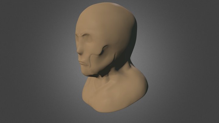 Face 3D Model
