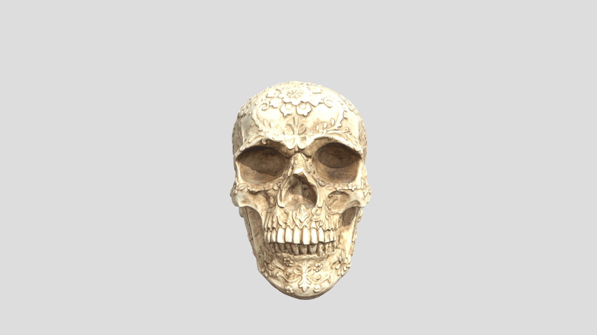 Skull 3d scan