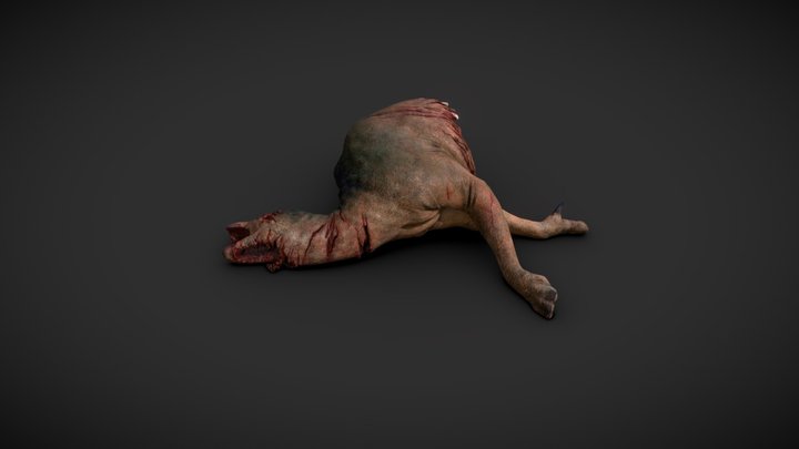 Carcass 3D Model