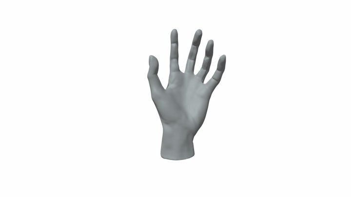 Download gratuito del modello di mano 3d