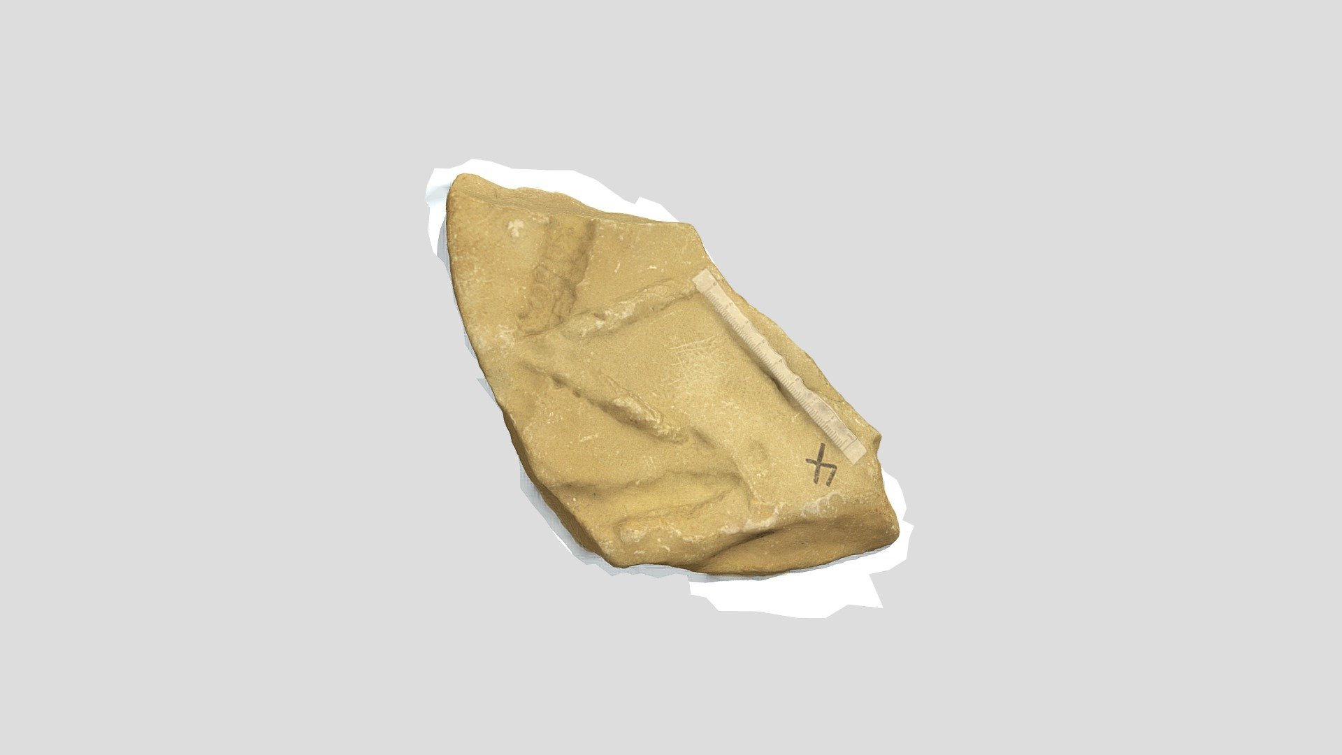 Sample 4
