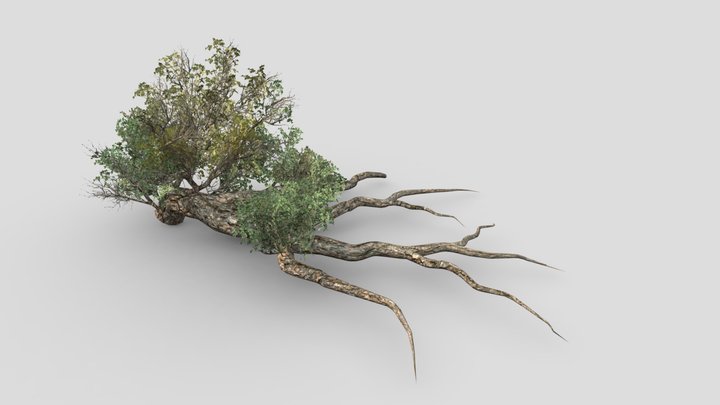 Tree (part13) – Modello 3D gratuito STL