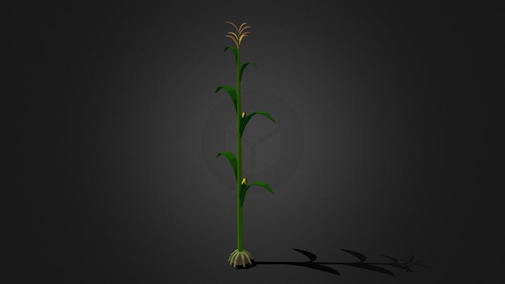 Сorn stalk 3D Model