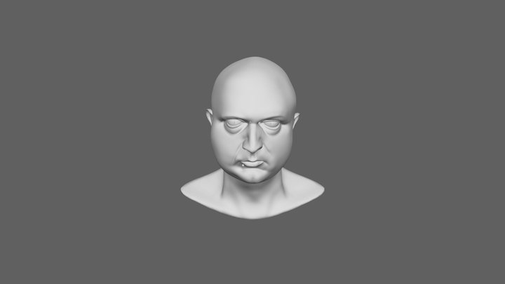 WIP Self Portrait Level 2 3D Model