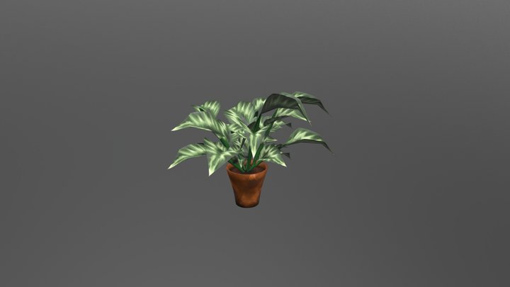 Plant Test 3D Model