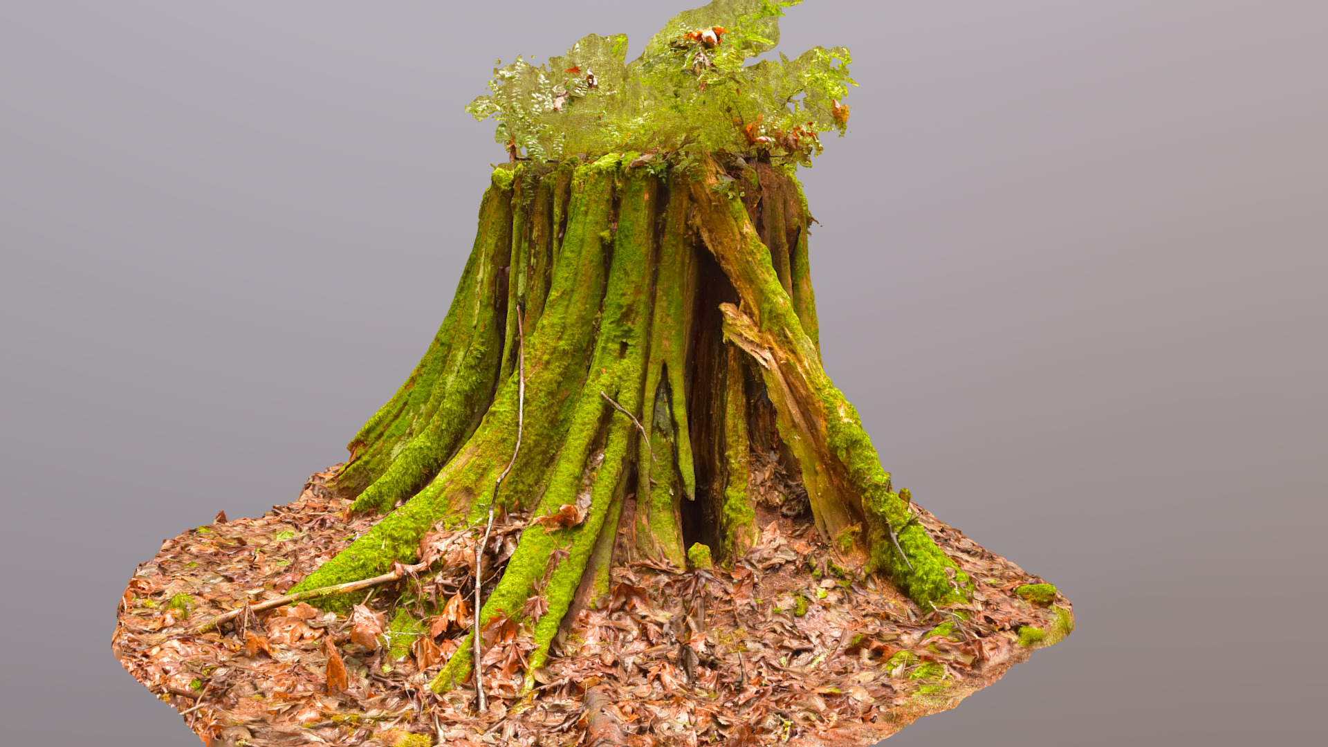 3D model Mossy Stump High Poly - This is a 3D model of the Mossy Stump High Poly. The 3D model is about a tree with green leaves.