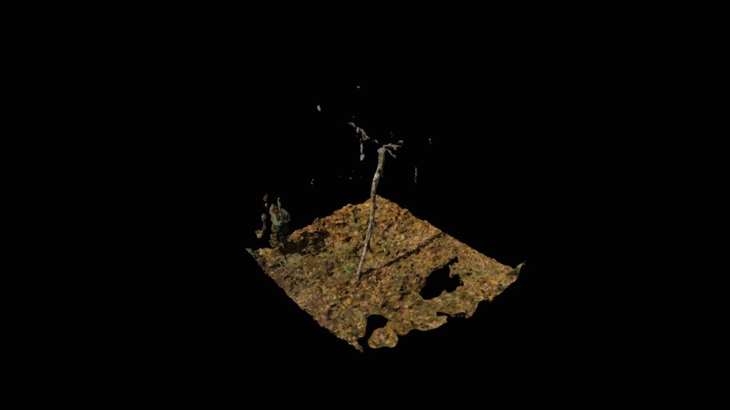 simbioze — Sketchfab embed 3D viewer