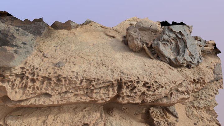 Honeycomb weathering in sandstone, Negev desert 3D Model